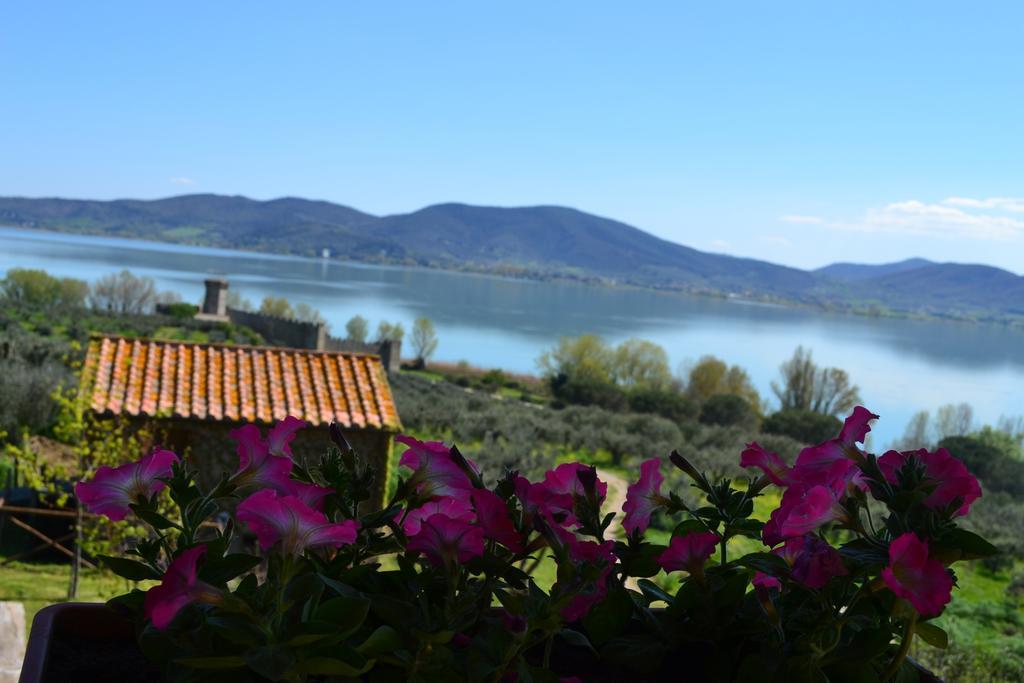 Fattoria Il Poggio Villa Сан Феличано Екстериор снимка